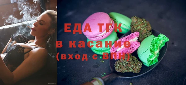 молекула духа Снежногорск